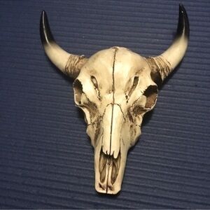 White  Bull Cow Horn Southwestern Native Bohemian Skull